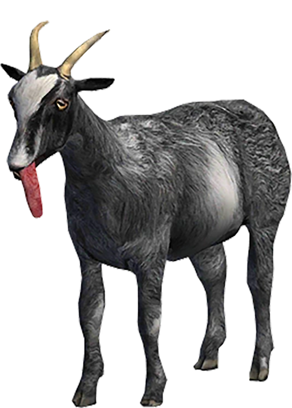 transparant goat homepage
